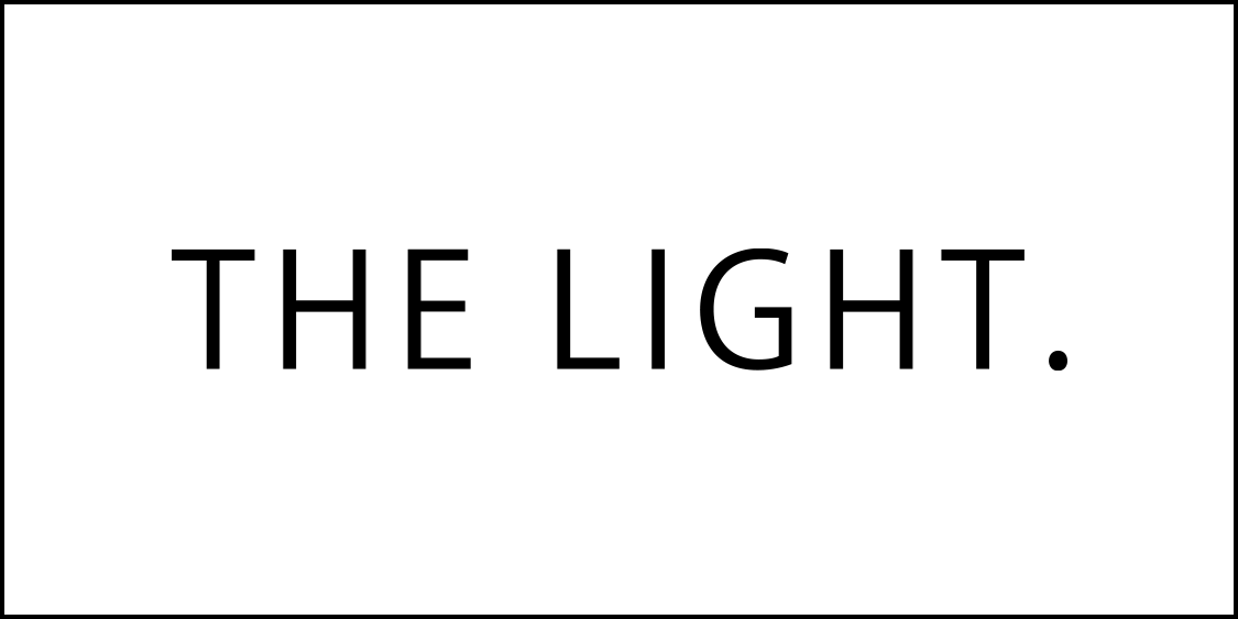 支援者 THE LIGHT,株式会社